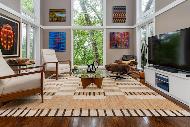 2 Edgcumbe Pl, Saint Paul, MN 55116 - living room with a towering ceiling and wood finished floors