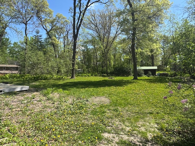 1725 Woodlawn Ave, Owatonna, MN 55060 - view of green lawn