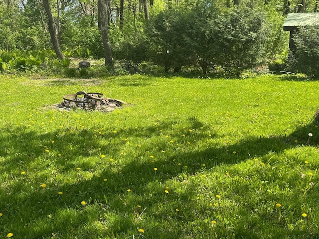 1725 Woodlawn Ave, Owatonna, MN 55060 - view of green lawn with a fire pit