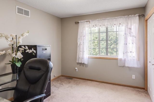 9743 Almond Ave N, Brooklyn Park, MN 55443 - photo 23