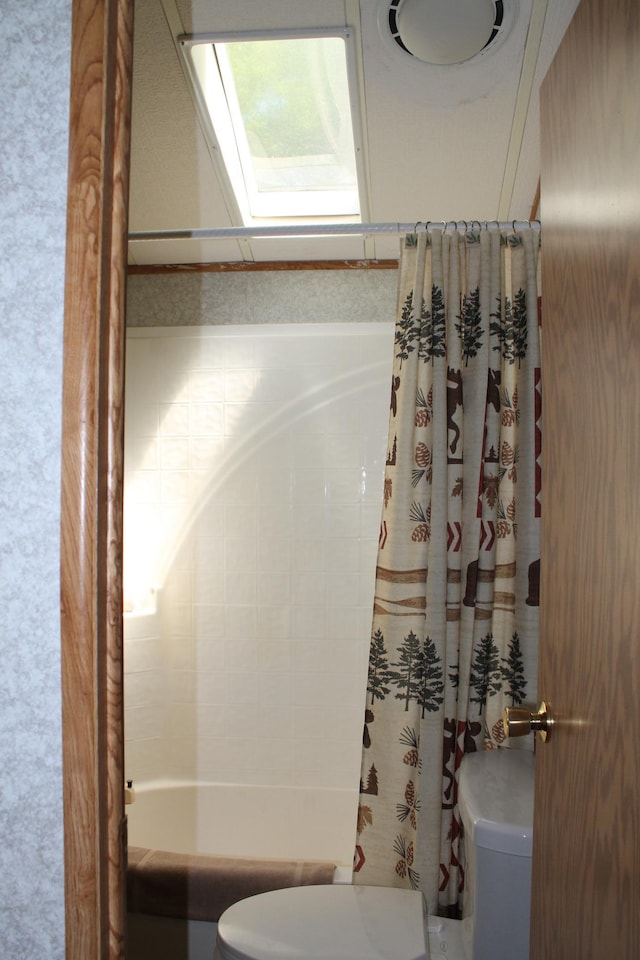 39624 Crane Lake Dr, Clitherall Twp, MN 56515 - bathroom with toilet, a skylight, and shower / bath combo