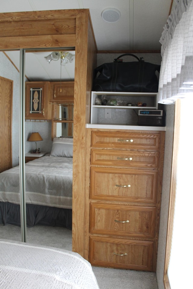 39624 Crane Lake Dr, Clitherall Twp, MN 56515 - bedroom with carpet floors and a closet