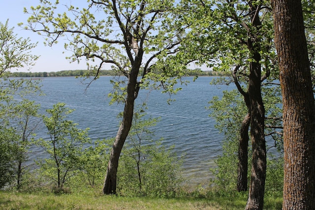 39624 Crane Lake Dr, Clitherall Twp, MN 56515 - water view