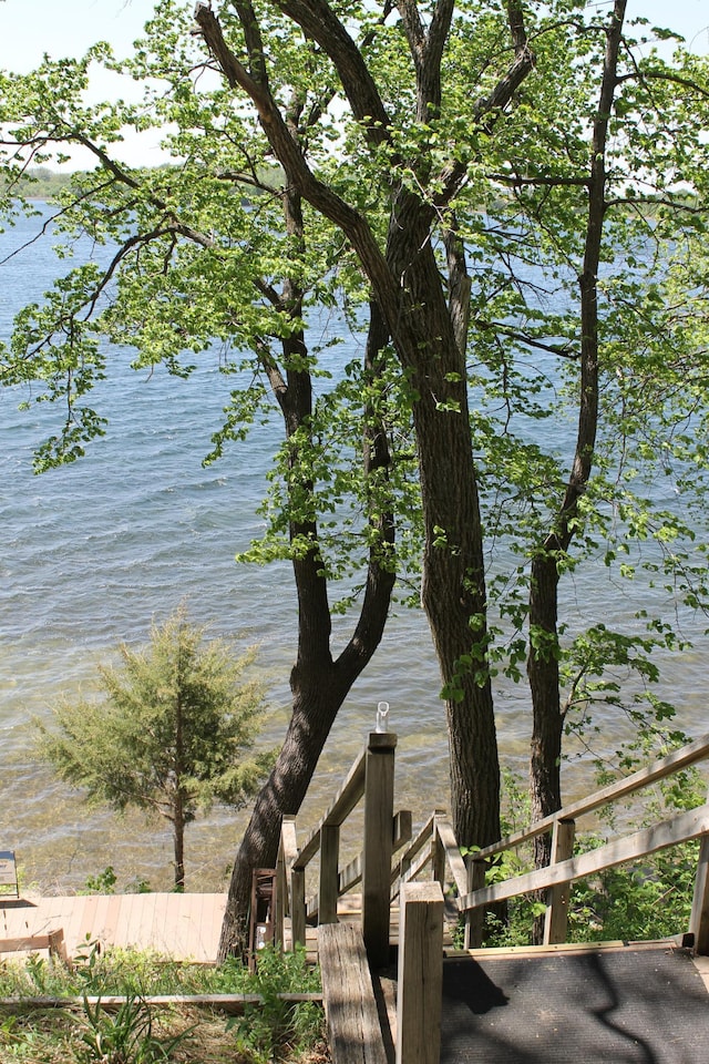 39624 Crane Lake Dr, Clitherall Twp, MN 56515 - water view