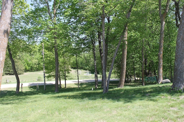 39624 Crane Lake Dr, Clitherall Twp, MN 56515 - view of grassy yard