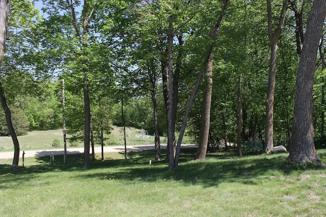 39624 Crane Lake Dr, Clitherall Twp, MN 56515 - view of grassy yard
