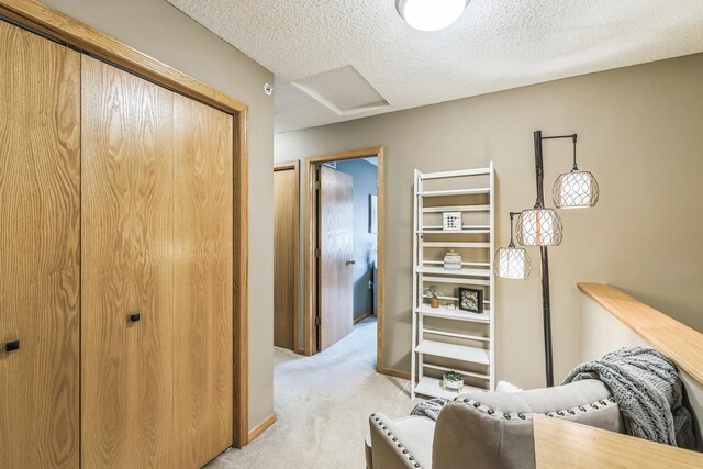 8289 Delaney Dr Unit 24, Inver Grove Heights, MN 55076 - spacious closet with light colored carpet and attic access