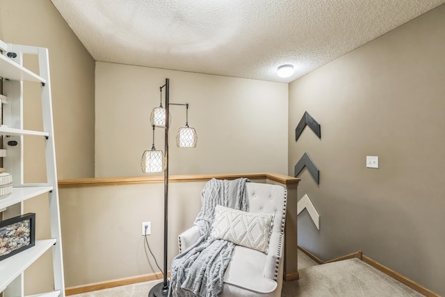 8289 Delaney Dr Unit 24, Inver Grove Heights, MN 55076 - sitting room with a textured ceiling, carpet flooring, and baseboards