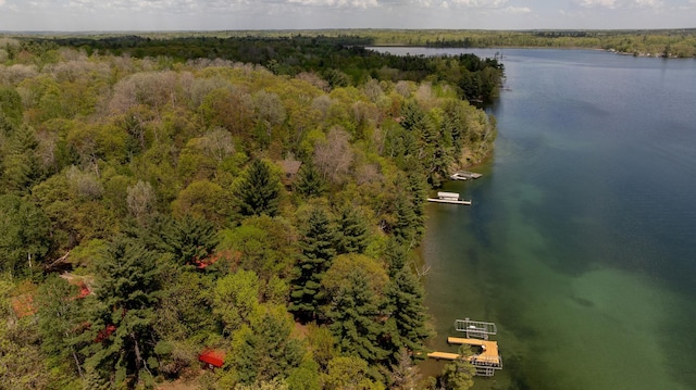 drone / aerial view of a large body of water and a heavily wooded area