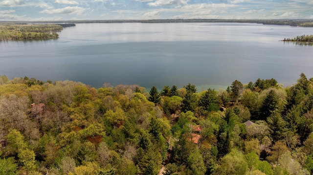 bird's eye view of a nearby body of water and a forest