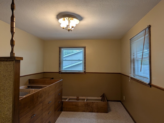 interior space featuring carpet flooring and a textured ceiling