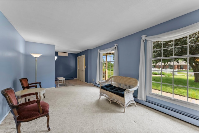 331 Sunset Ln N, Cambridge, MN 55008 - sitting room with carpet flooring and a baseboard heating unit