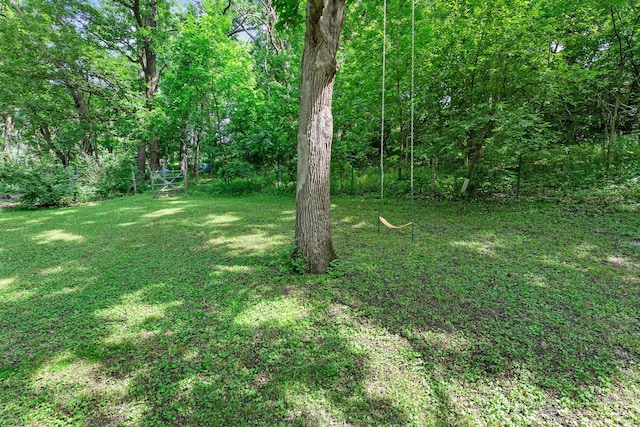 331 Sunset Ln N, Cambridge, MN 55008 - view of grassy yard