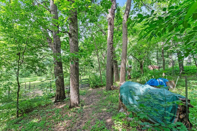 331 Sunset Ln N, Cambridge, MN 55008 - view of yard