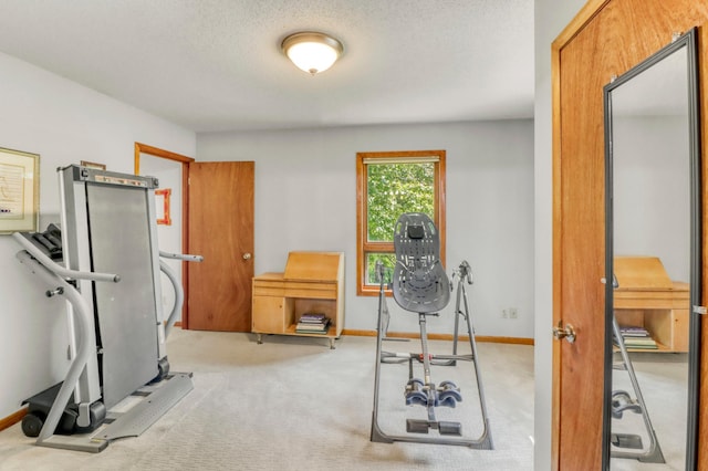 20473 Leisure Dr, Pelican Rapids, MN 56572 - exercise area featuring carpet, a textured ceiling, and baseboards