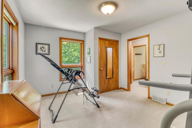 20473 Leisure Dr, Pelican Rapids, MN 56572 - exercise area with baseboards and light carpet