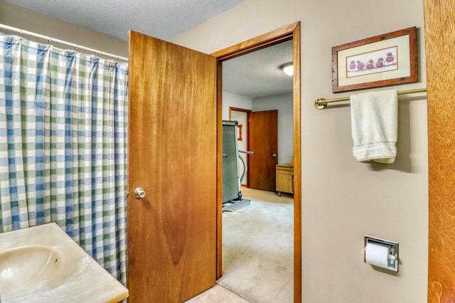 20473 Leisure Dr, Pelican Rapids, MN 56572 - bathroom with a textured ceiling, vanity, and curtained shower