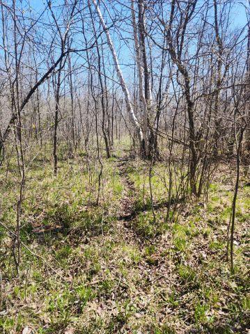 530 335th Ave, Frederic, WI 54837