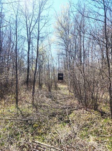 530 335th Ave, Frederic, WI 54837