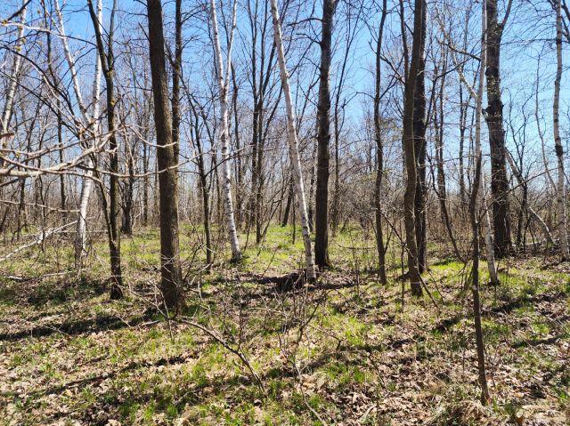 530 335th Ave, Frederic, WI 54837