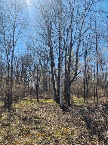 530 335th Ave, Frederic, WI 54837
