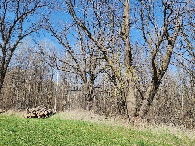 530 335th Ave, Frederic, WI 54837