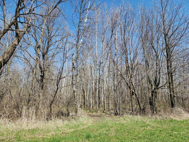 530 335th Ave, Frederic, WI 54837