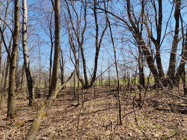 530 335th Ave, Frederic, WI 54837