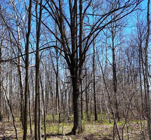 530 335th Ave, Frederic, WI 54837