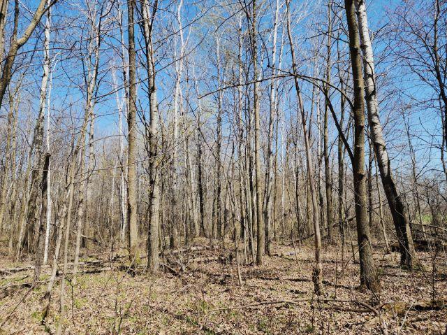 530 335th Ave, Frederic, WI 54837