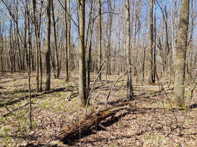 530 335th Ave, Frederic, WI 54837