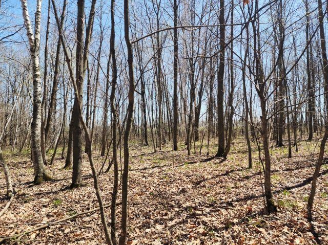 530 335th Ave, Frederic, WI 54837