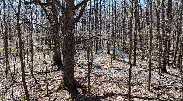 530 335th Ave, Frederic, WI 54837
