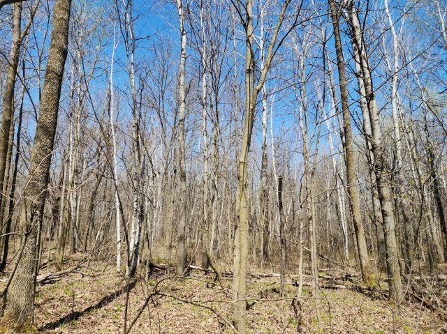 530 335th Ave, Frederic, WI 54837