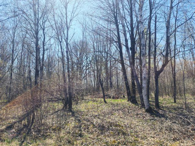 530 335th Ave, Frederic, WI 54837