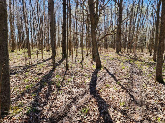 530 335th Ave, Frederic, WI 54837