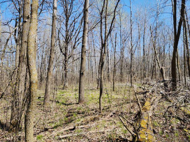 530 335th Ave, Frederic, WI 54837