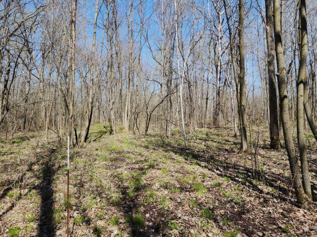 530 335th Ave, Frederic, WI 54837
