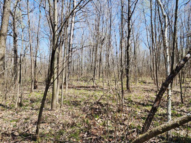 530 335th Ave, Frederic, WI 54837