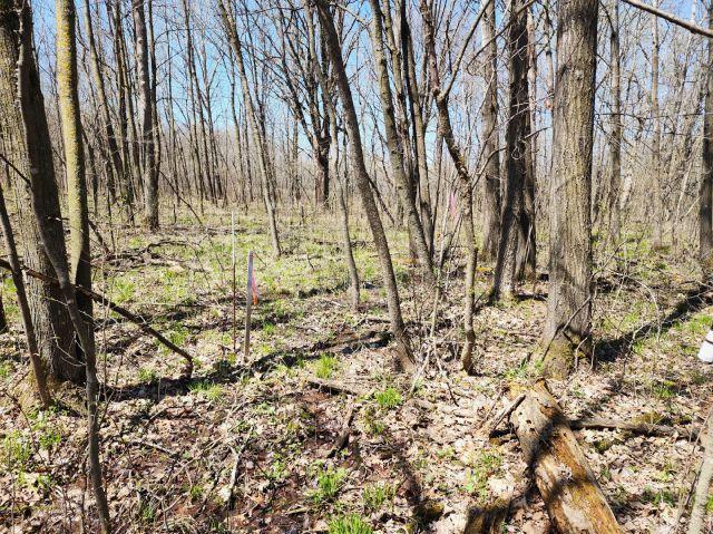530 335th Ave, Frederic, WI 54837