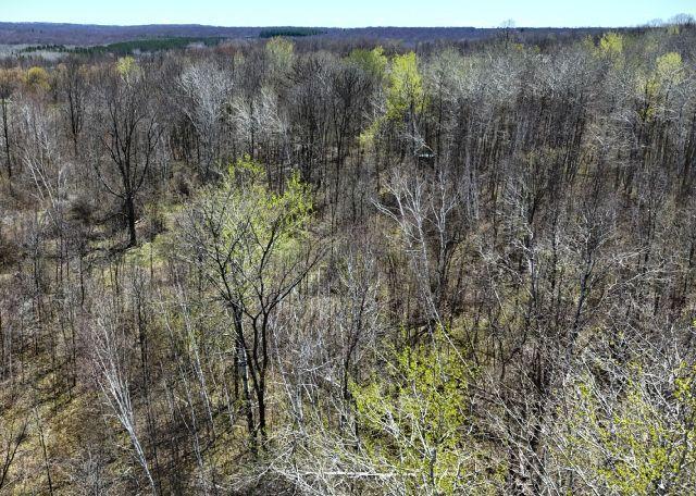 530 335th Ave, Frederic, WI 54837