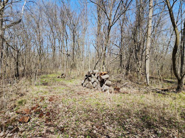 530 335th Ave, Frederic, WI 54837