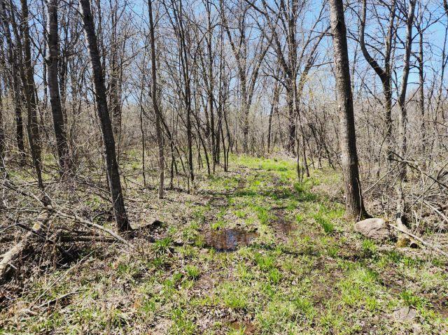 530 335th Ave, Frederic, WI 54837