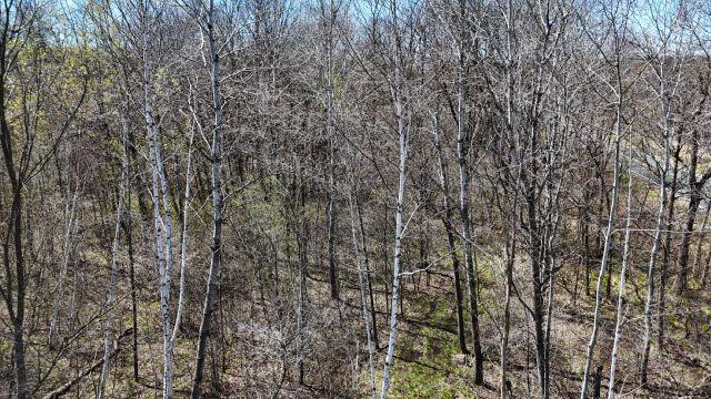 530 335th Ave, Frederic, WI 54837