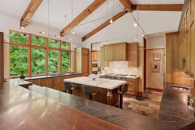 20545 Linden Rd, Deephaven, MN 55331 - kitchen with a sink, stainless steel counters, beam ceiling, tasteful backsplash, and high vaulted ceiling