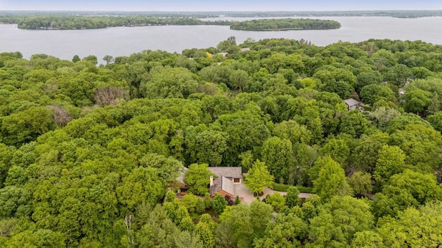 20545 Linden Rd, Deephaven, MN 55331 - drone / aerial view of a heavily wooded area and a nearby body of water