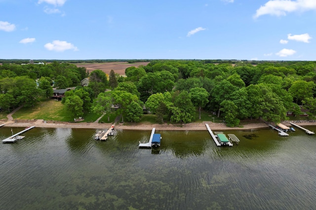 10001 Jeske Ave NW, Corinna Twp, MN 55302 - aerial view of a large body of water and a heavily wooded area
