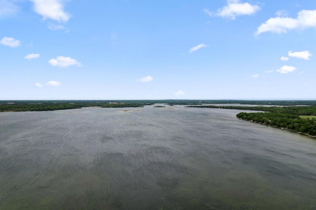 10001 Jeske Ave NW, Corinna Twp, MN 55302 - water view