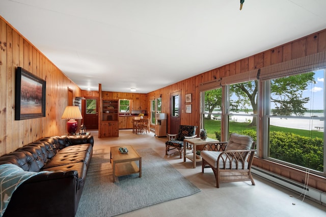 10001 Jeske Ave NW, Corinna Twp, MN 55302 - living area featuring wood walls, a baseboard radiator, and a water view