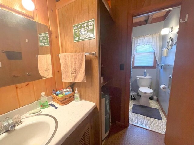 25186 US-71 # 18, Park Rapids, MN 56470 - bathroom featuring toilet, vanity, and wood walls
